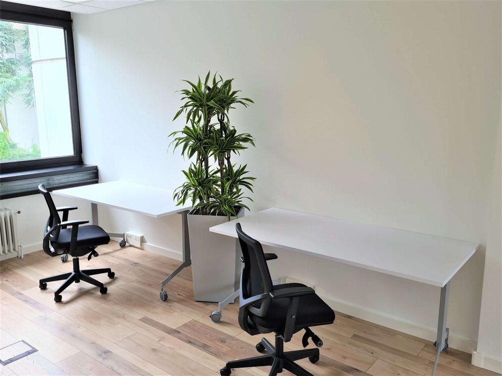 Arbeitsplätze mit Schreibtischen im Co-Working-Bereich